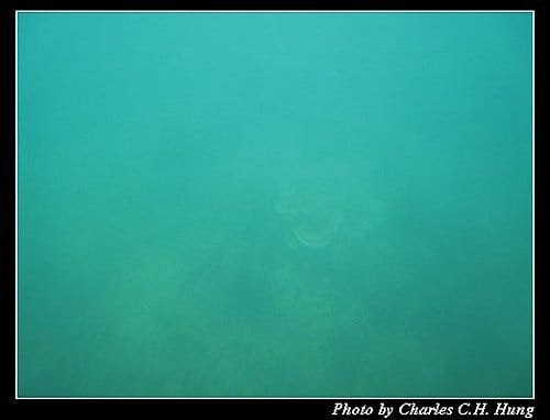 澎湖馬公–海洋牧場