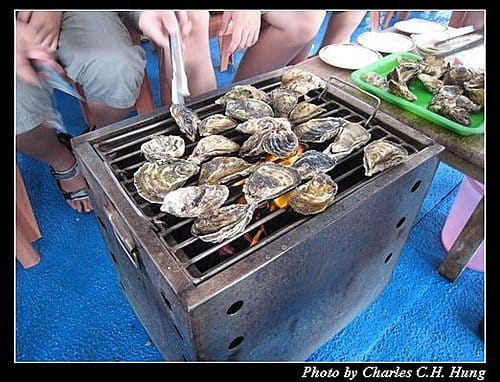 澎湖馬公–海洋牧場