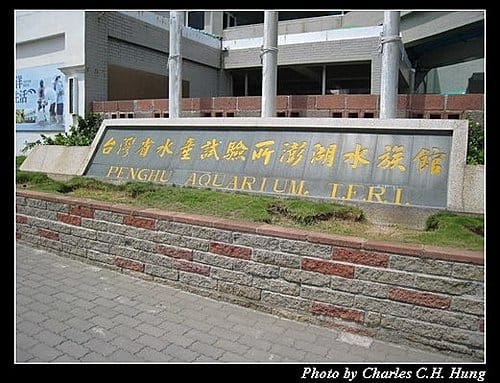 澎湖白沙–澎湖水族館 - 第3張圖 澎湖白沙–澎湖水族館