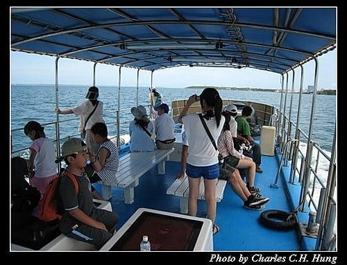 澎湖馬公–海洋牧場