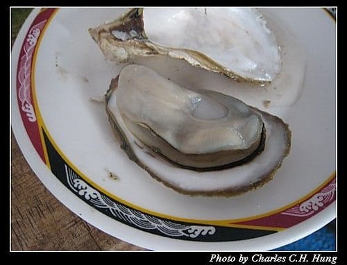 澎湖馬公–海洋牧場