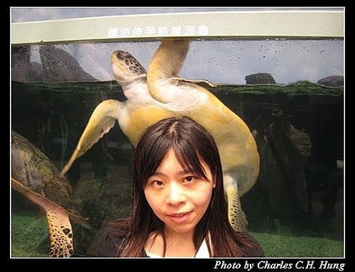 澎湖白沙–澎湖水族館 - 第8張圖 澎湖白沙–澎湖水族館