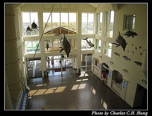 澎湖白沙–澎湖水族館 - 第45張圖 澎湖白沙–澎湖水族館