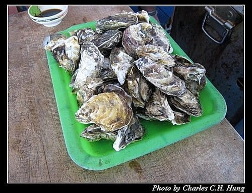 澎湖馬公–海洋牧場
