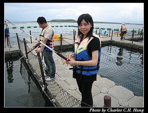 澎湖馬公–海洋牧場
