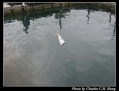 澎湖馬公–海洋牧場