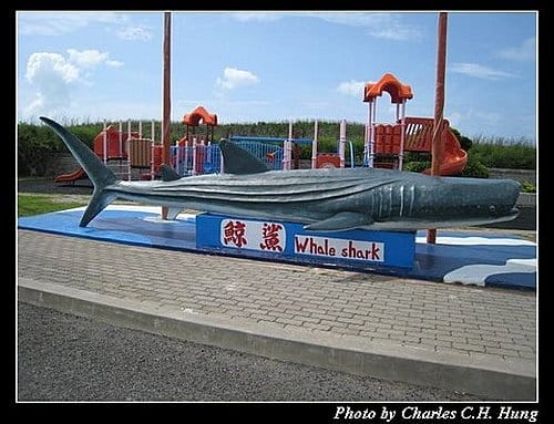 澎湖白沙–澎湖水族館 - 第65張圖 澎湖白沙–澎湖水族館