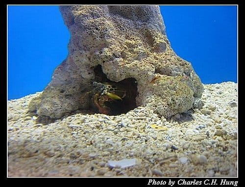澎湖白沙–澎湖水族館 - 第26張圖 澎湖白沙–澎湖水族館