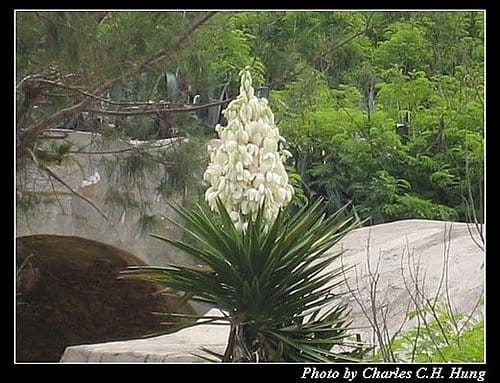 澎湖馬公–馬公島環島之旅 - 第54張圖 澎湖馬公–馬公島環島之旅