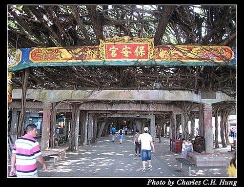 澎湖馬公–馬公島環島之旅 - 第5張圖 澎湖馬公–馬公島環島之旅