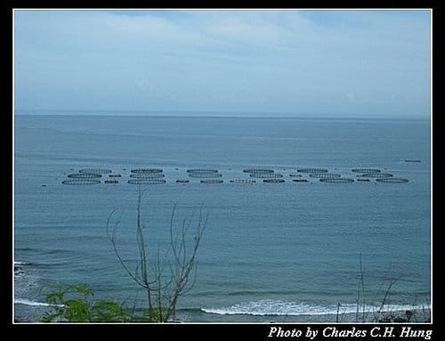 澎湖馬公–馬公島環島之旅 - 第43張圖 澎湖馬公–馬公島環島之旅