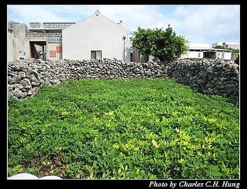 澎湖馬公–馬公島環島之旅 - 第29張圖 澎湖馬公–馬公島環島之旅