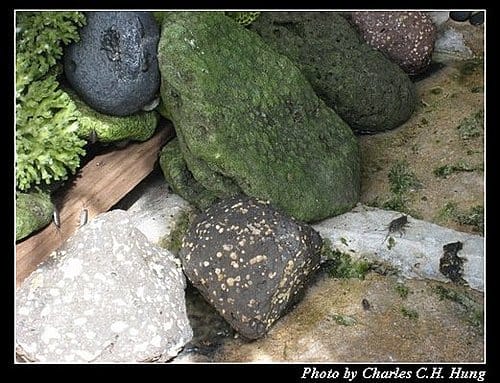 澎湖馬公–馬公島環島之旅 - 第31張圖 澎湖馬公–馬公島環島之旅