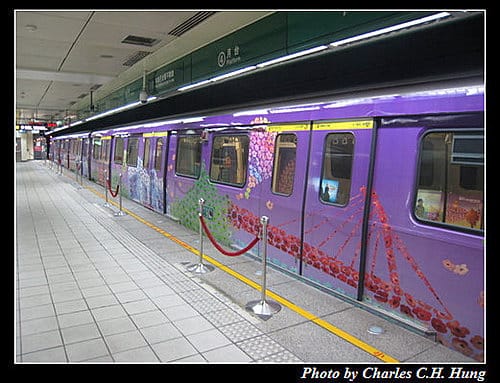 台北捷運花博彩繪列車