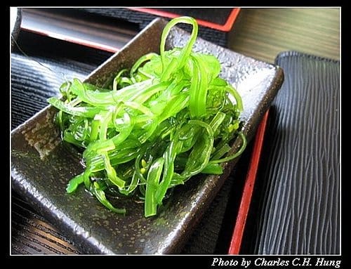 新竹竹北–樹太老（已結束營業）