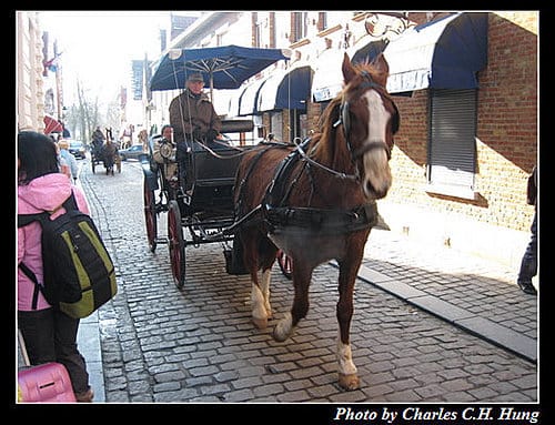 荷德比法–Day 4–布魯日（Brugge）