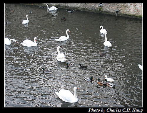 荷德比法–Day 4–布魯日（Brugge）