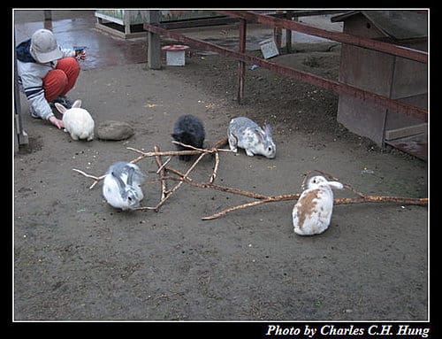 苗栗公館–棗莊古意庭園膳坊