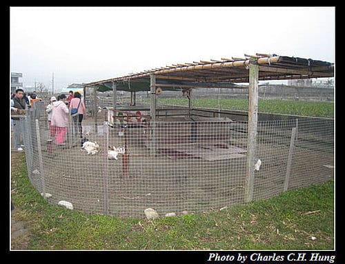 苗栗公館–棗莊古意庭園膳坊