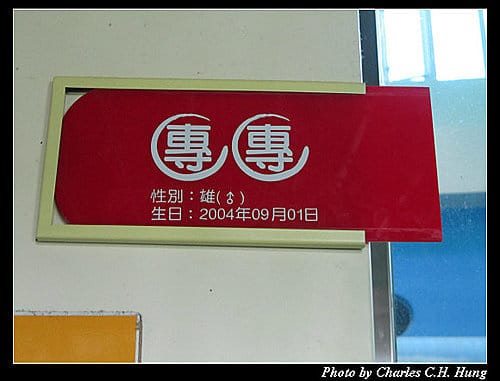 一個人的貓空纜車（同場加映無尾熊+大貓熊）