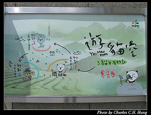 一個人的貓空纜車（同場加映無尾熊+大貓熊）