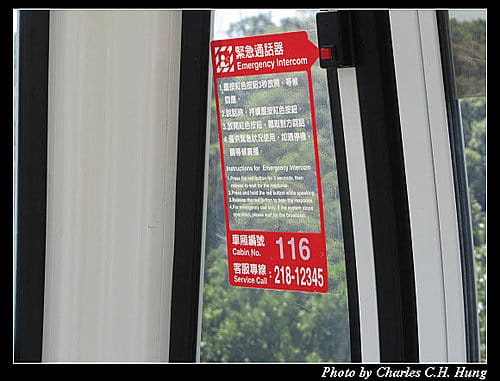一個人的貓空纜車（同場加映無尾熊+大貓熊）