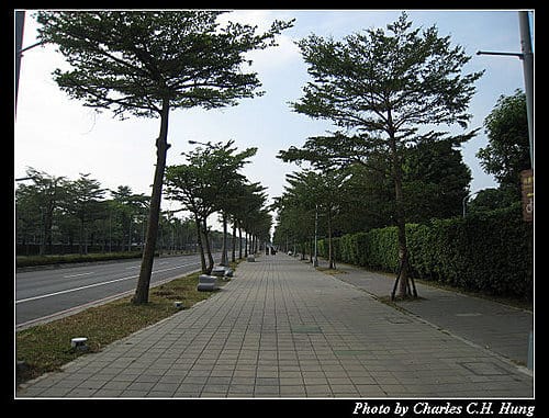 高雄市–2009世運會主場館