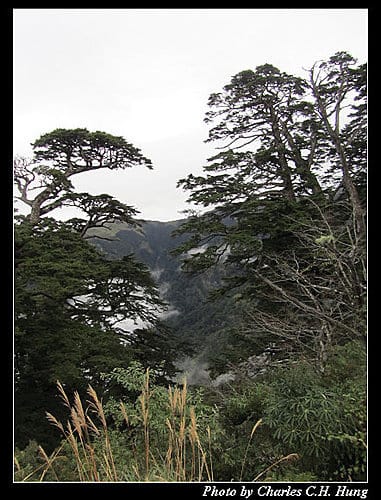 南投仁愛–合歡山日出行