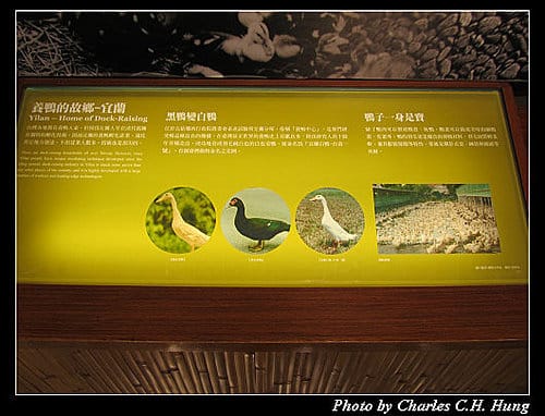 宜蘭頭城–蘭陽博物館