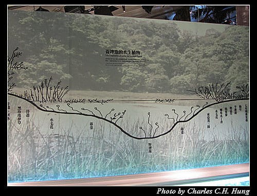 宜蘭頭城–蘭陽博物館