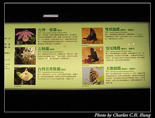 宜蘭頭城–蘭陽博物館