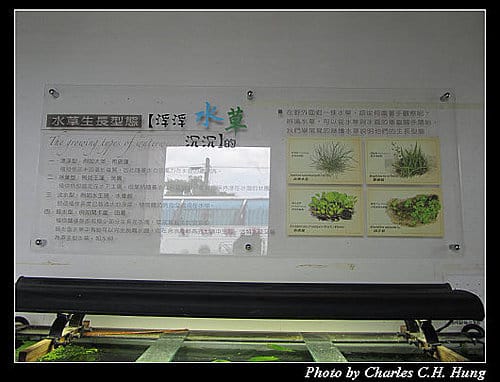 宜蘭員山–勝洋休閒農場