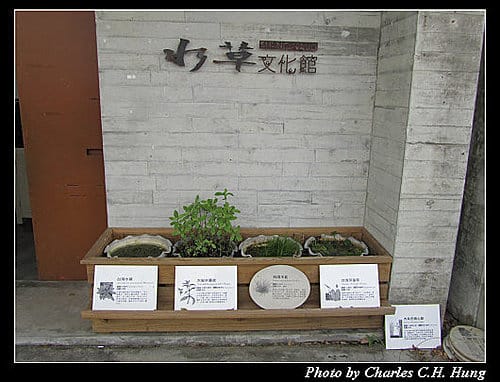 宜蘭員山–勝洋休閒農場