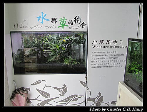 宜蘭員山–勝洋休閒農場