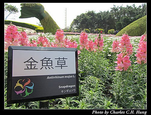 台北市–2010台北國際花卉博覽會–新生公園區