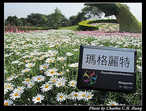 台北市–2010台北國際花卉博覽會–新生公園區