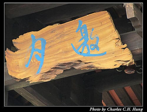 台北市–2010台北國際花卉博覽會–新生公園區