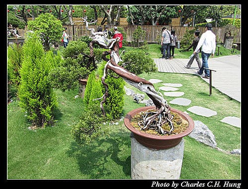 台北市–2010台北國際花卉博覽會–新生公園區：養生館