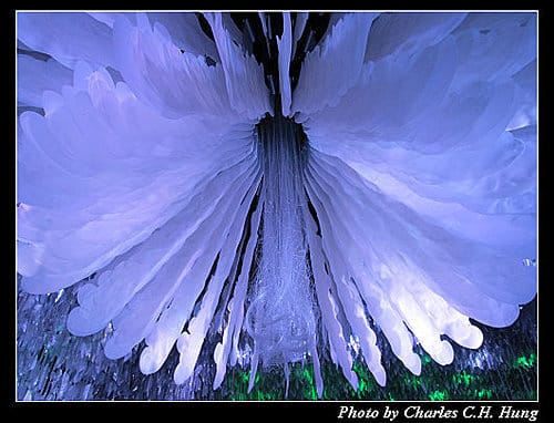 台北市–2010台北國際花卉博覽會–新生公園區：夢想館