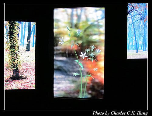 台北市–2010台北國際花卉博覽會–新生公園區：夢想館