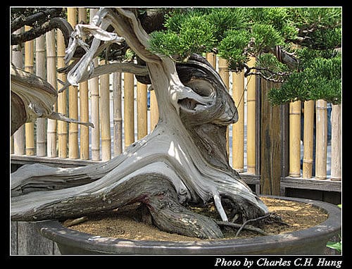 台北市–2010台北國際花卉博覽會–新生公園區：養生館