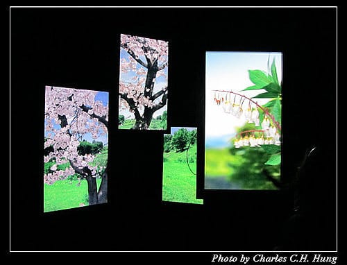 台北市–2010台北國際花卉博覽會–新生公園區：夢想館
