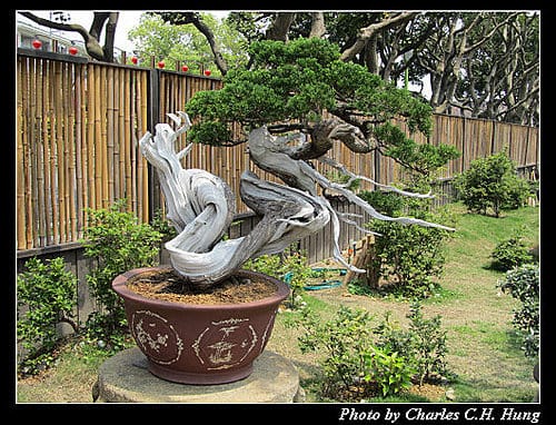 台北市–2010台北國際花卉博覽會–新生公園區：養生館