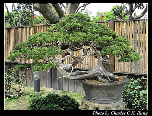 台北市–2010台北國際花卉博覽會–新生公園區：養生館