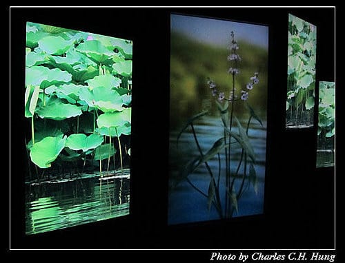 台北市–2010台北國際花卉博覽會–新生公園區：夢想館
