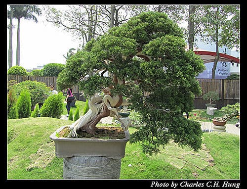 台北市–2010台北國際花卉博覽會–新生公園區：養生館