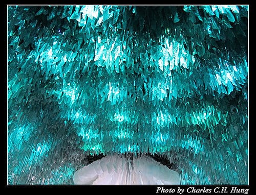 台北市–2010台北國際花卉博覽會–新生公園區：夢想館