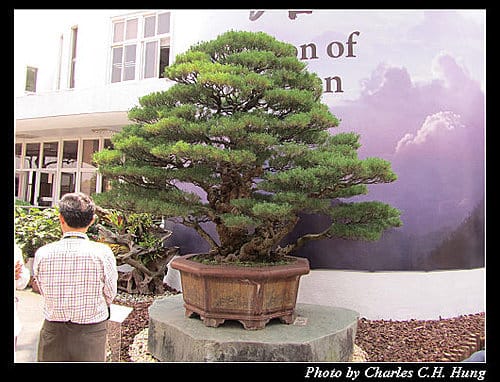 台北市–2010台北國際花卉博覽會–新生公園區：養生館