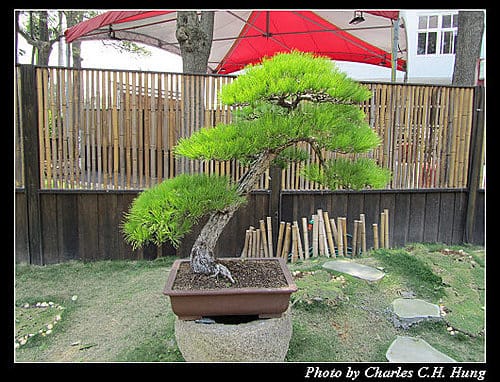 台北市–2010台北國際花卉博覽會–新生公園區：養生館