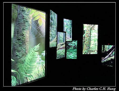 台北市–2010台北國際花卉博覽會–新生公園區：夢想館
